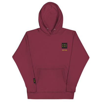 Unisex Hoodie Trust In God